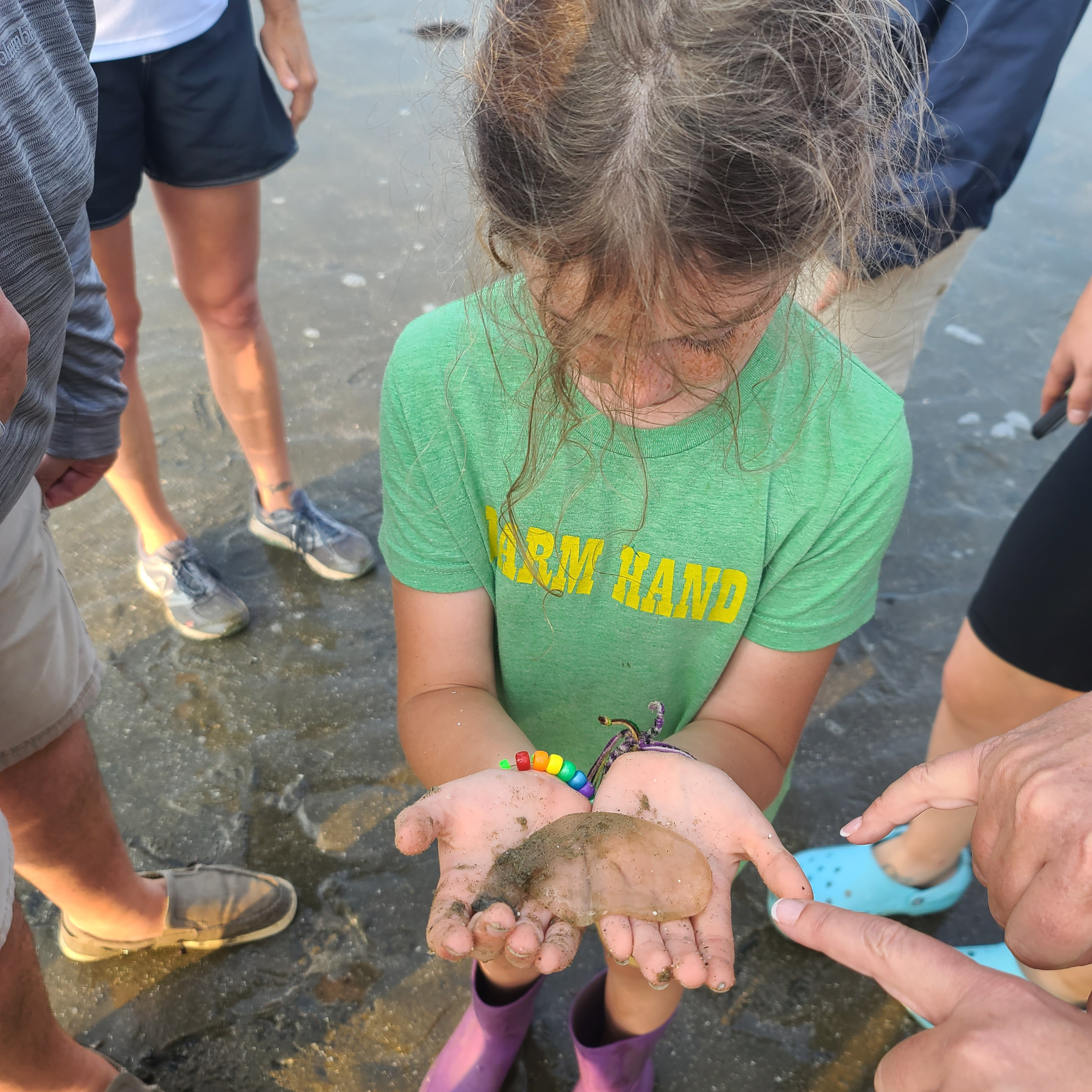 Young child holding jelly fish on the beach