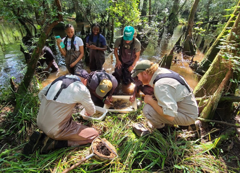 macroinvertebrate_featured