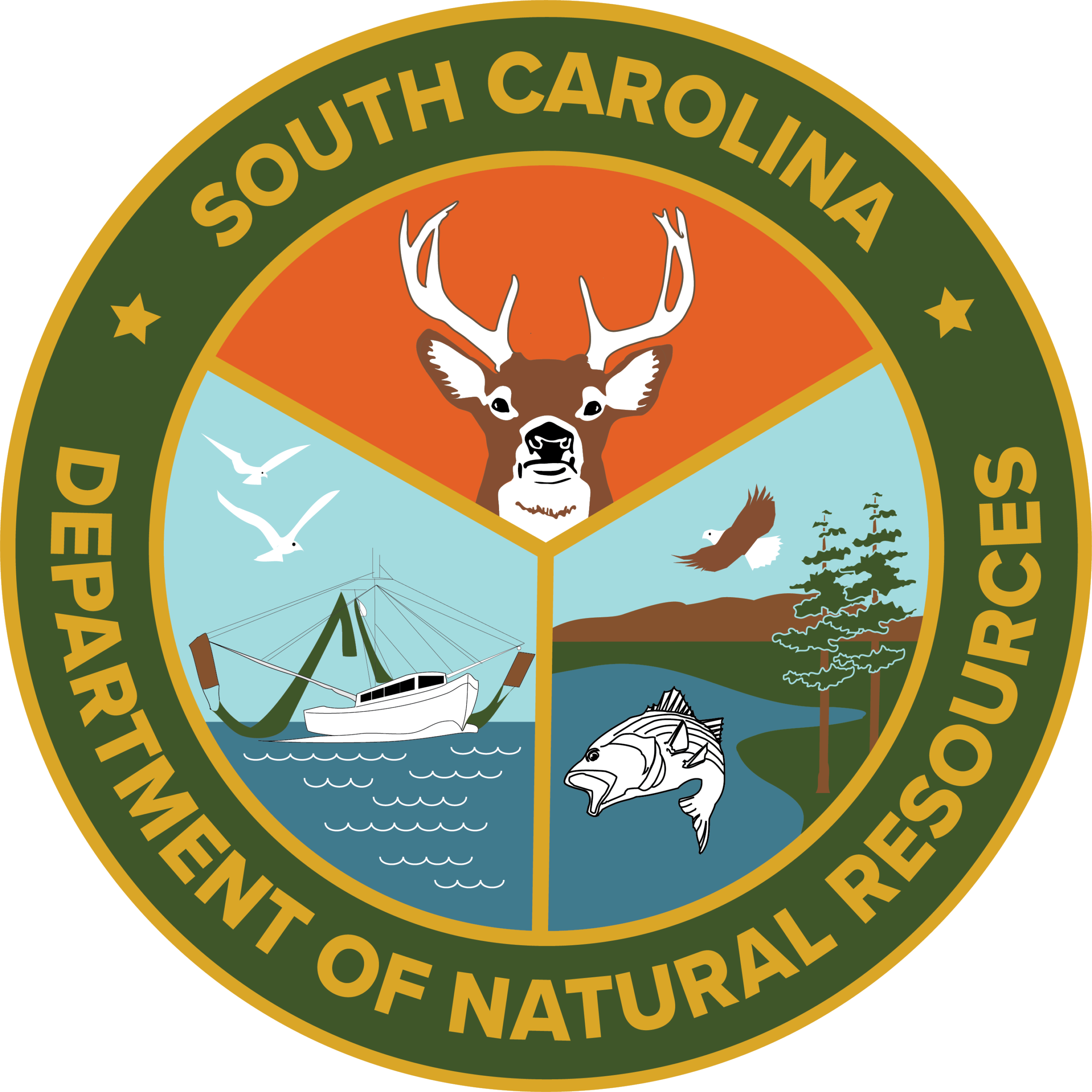 DNR_Color_HighResolution